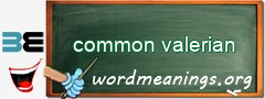 WordMeaning blackboard for common valerian